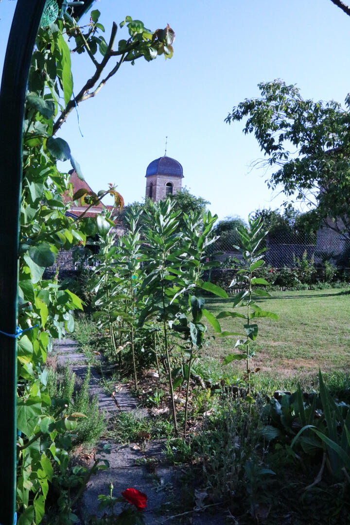 Vue sur l'église