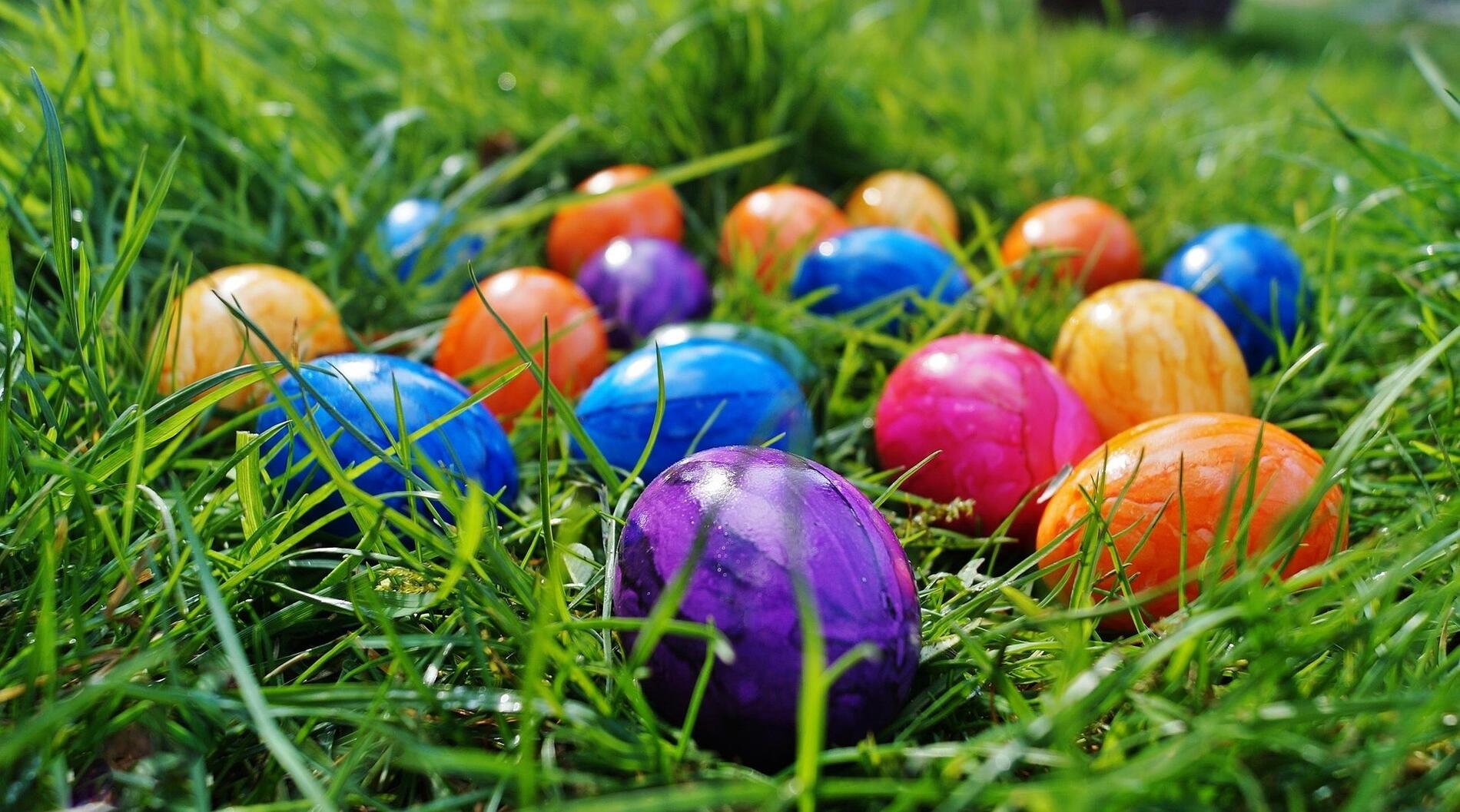 Chasse aux oeufs_Boën-sur-Lignon