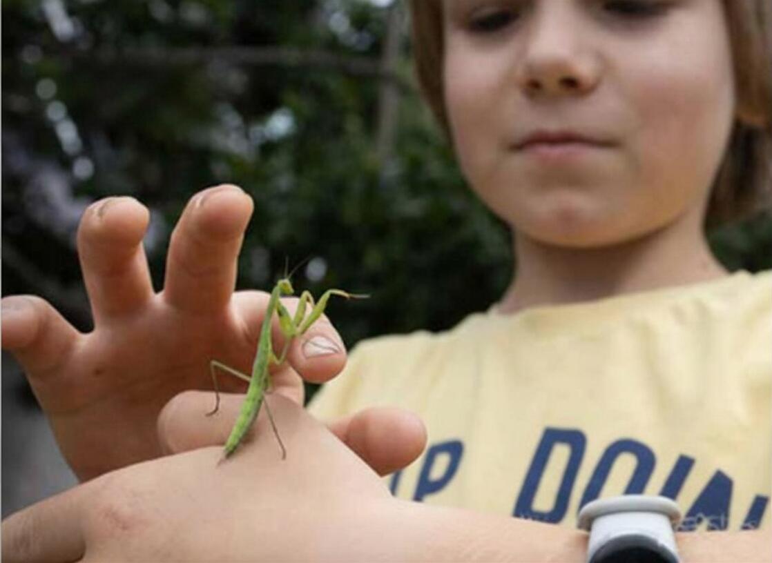 Safari des Petites Bêtes_Oz-en-Oisans