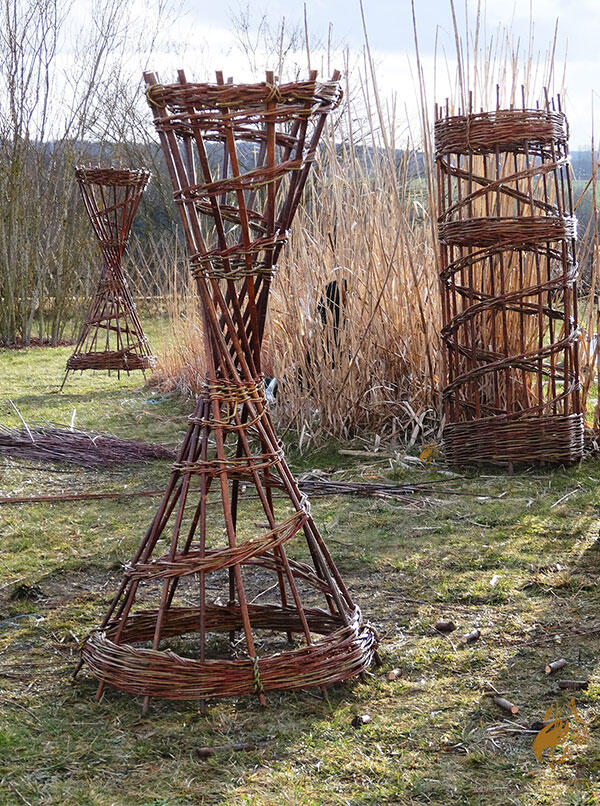 Visite d'une oseraie_Saint-Bonnet-en-Champsaur