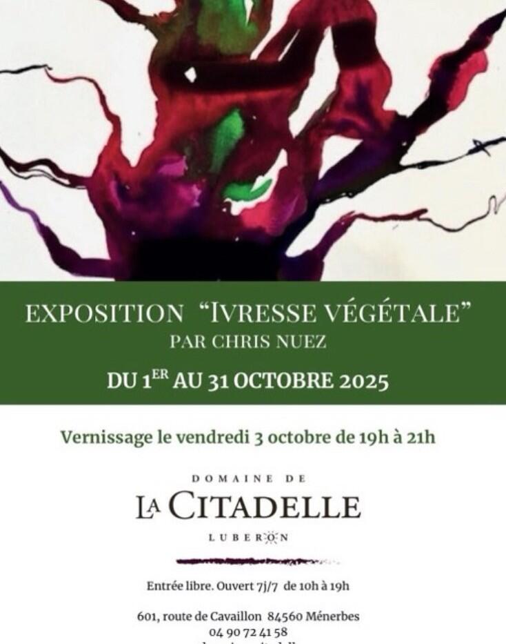 Exposition " Ivresse végétale"_Ménerbes