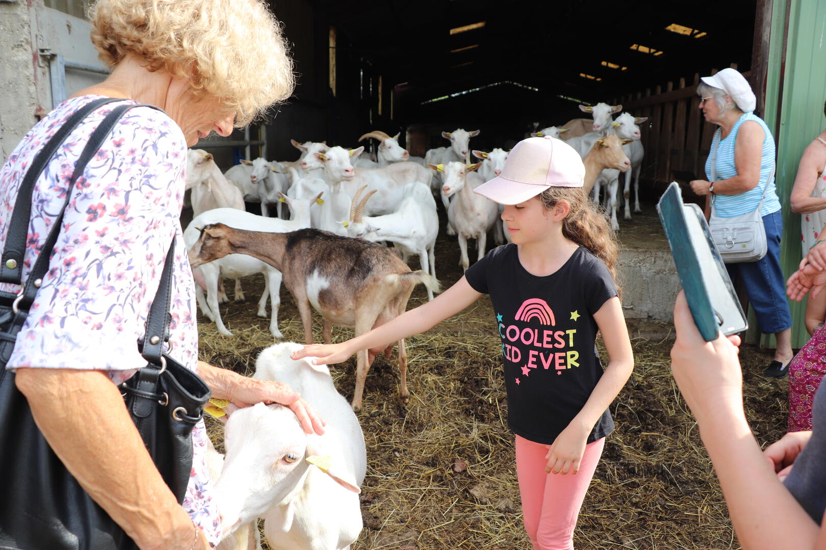 Visite-dégustation chez "Chèvres et saveurs"_Marboz