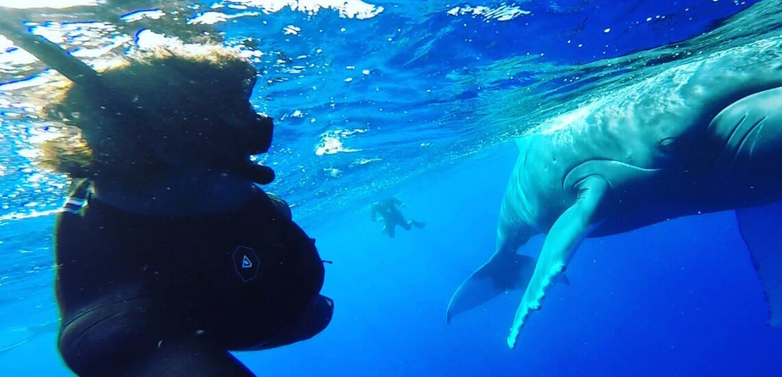 Corallina Tours - Tahiti Tourisme