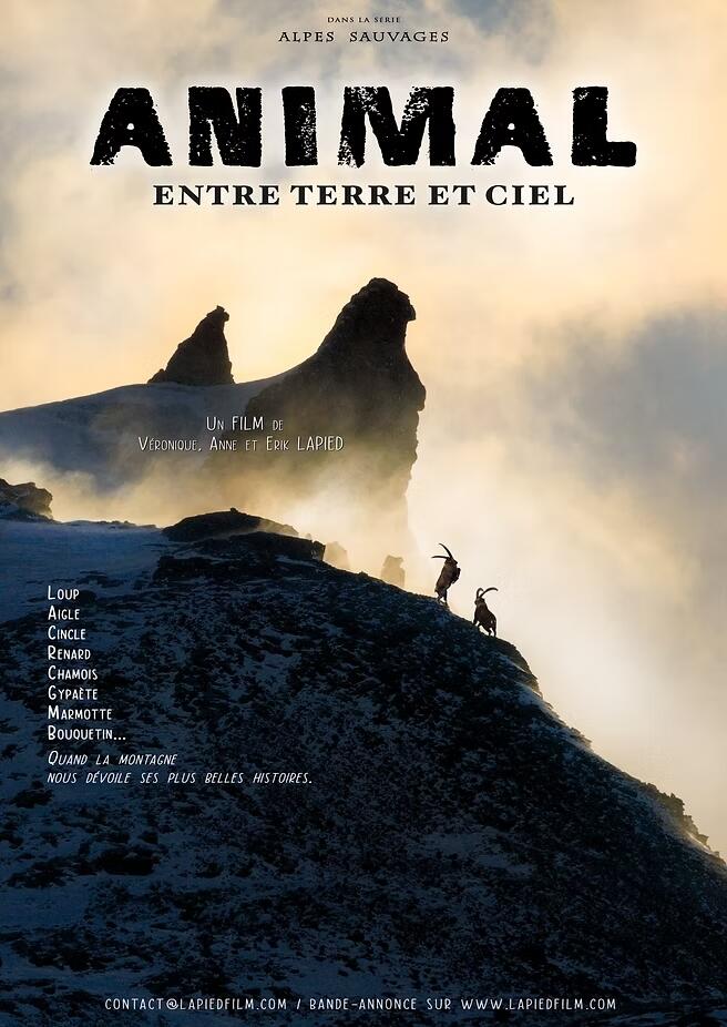 Animal entre terre et ciel