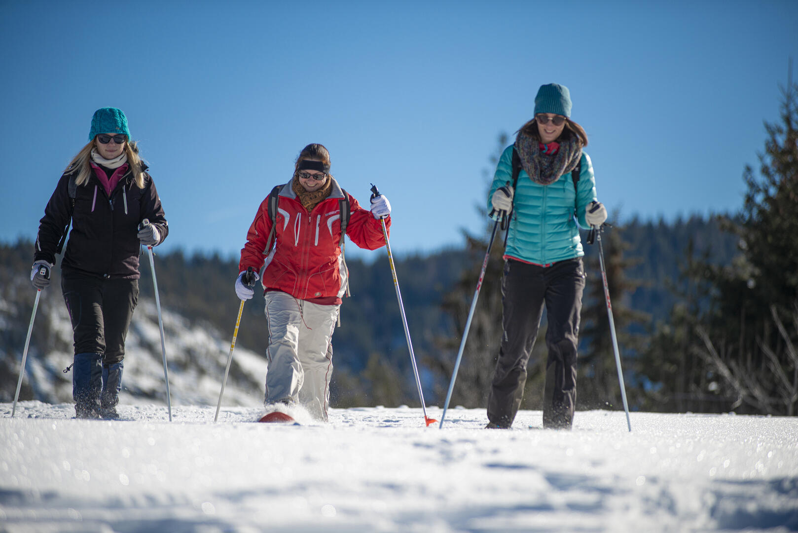 Raquettes_Le_Fanget_®lenaturographe