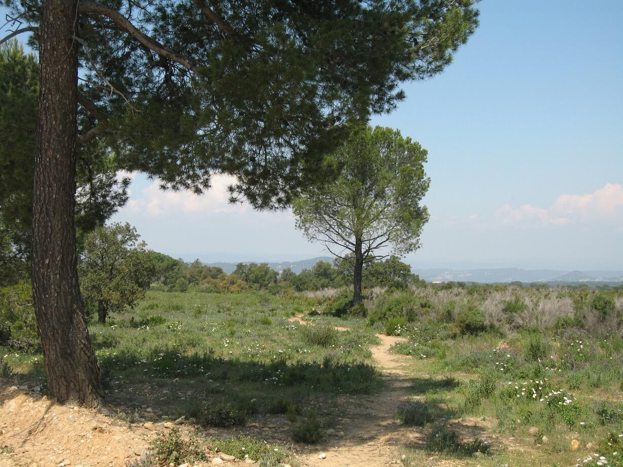 Plaine des Maures - La Garde-Freinet - Randonnée pédestre