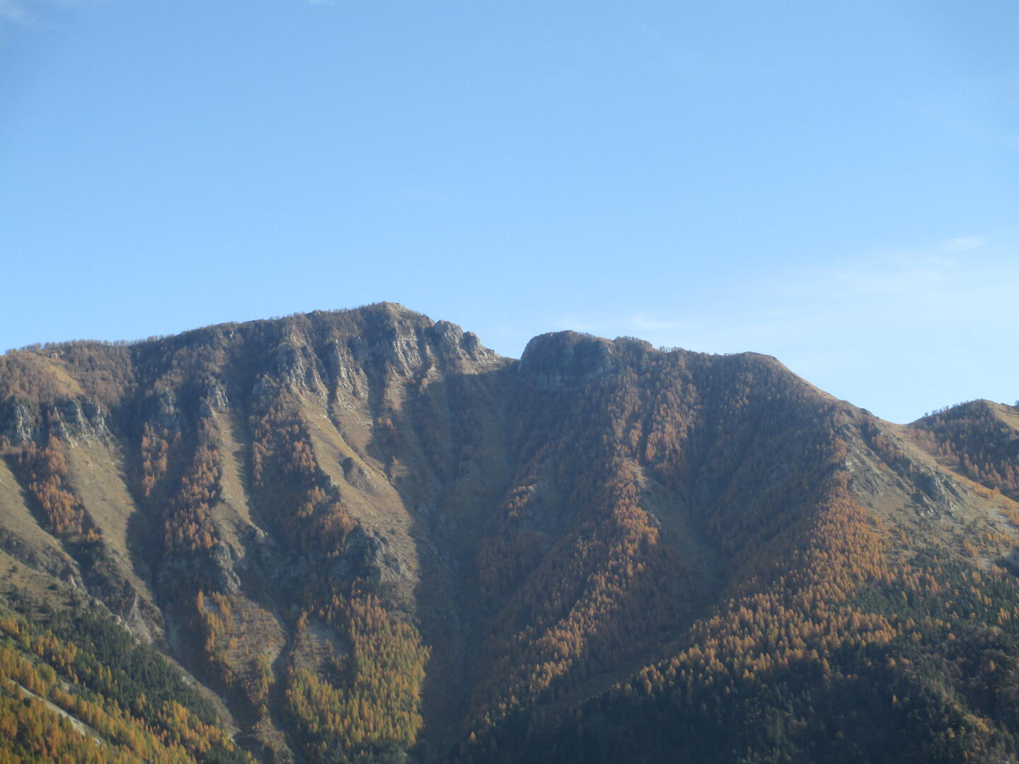 cime de marta