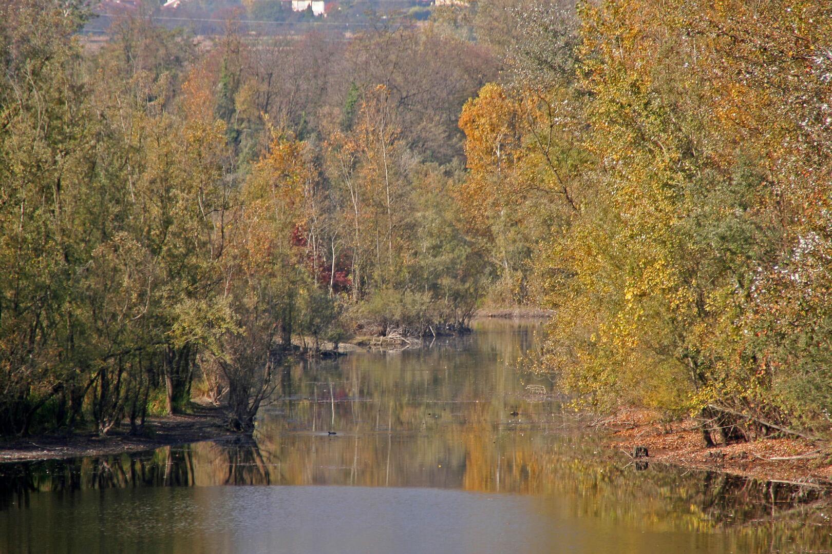 Lac de la Base nature