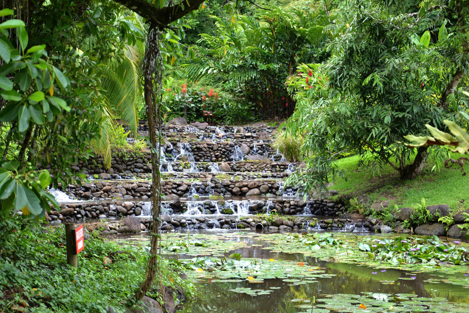 Jardins d'eau de vaipahi - Tahiti Tourisme