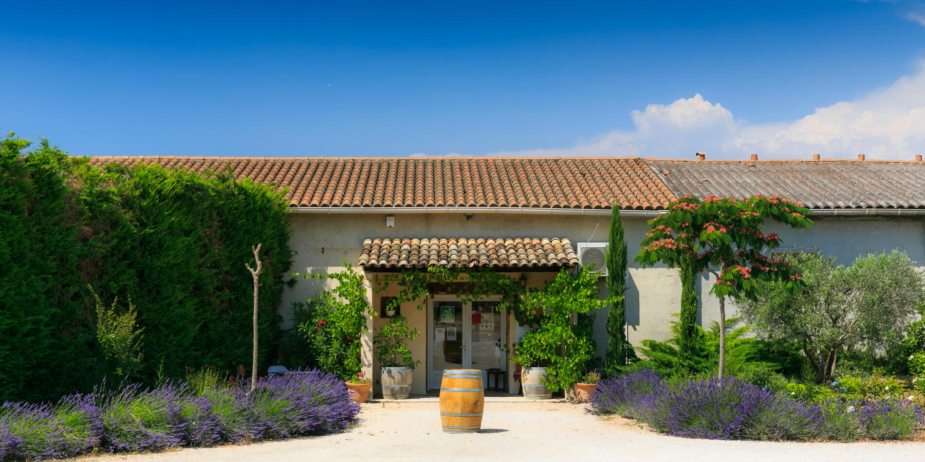 Mini conférence sur les vins d’Alsace et de Provence_Lançon-Provence