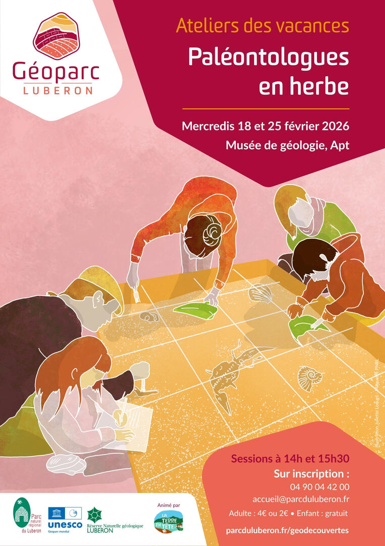 Spécial vacances de février : devenez paléontologue en herbe_Apt