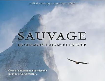 Lapied Sauvage