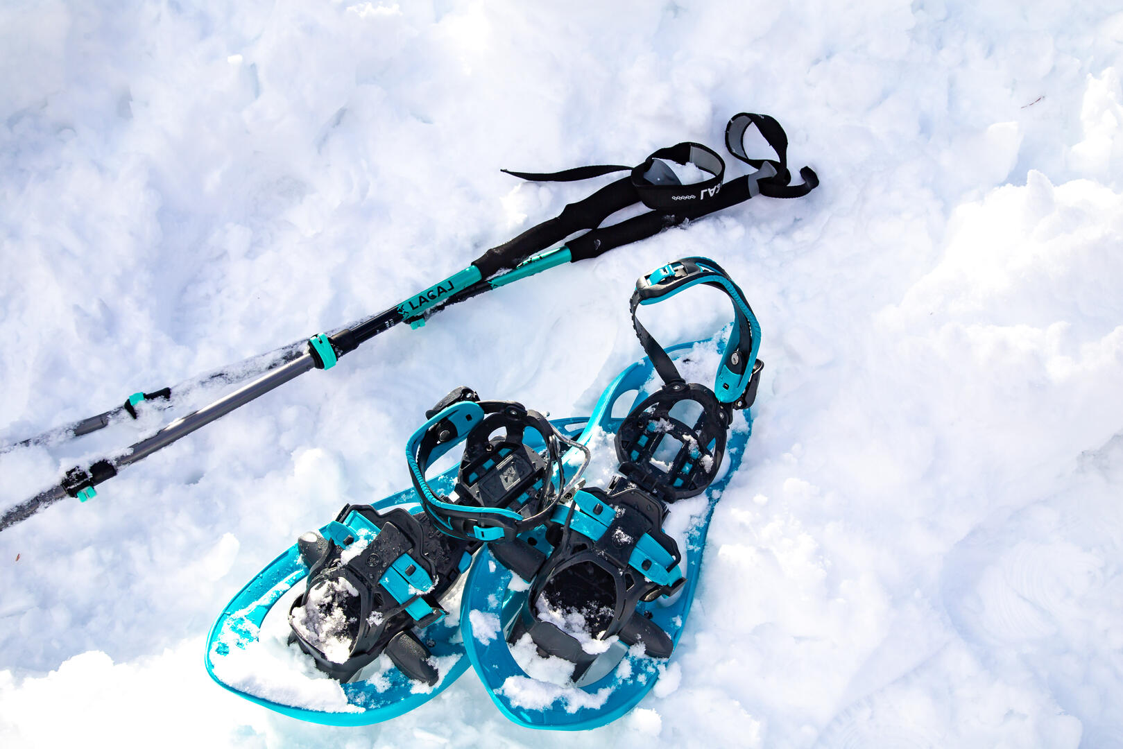 Marche découverte en raquettes_Vars