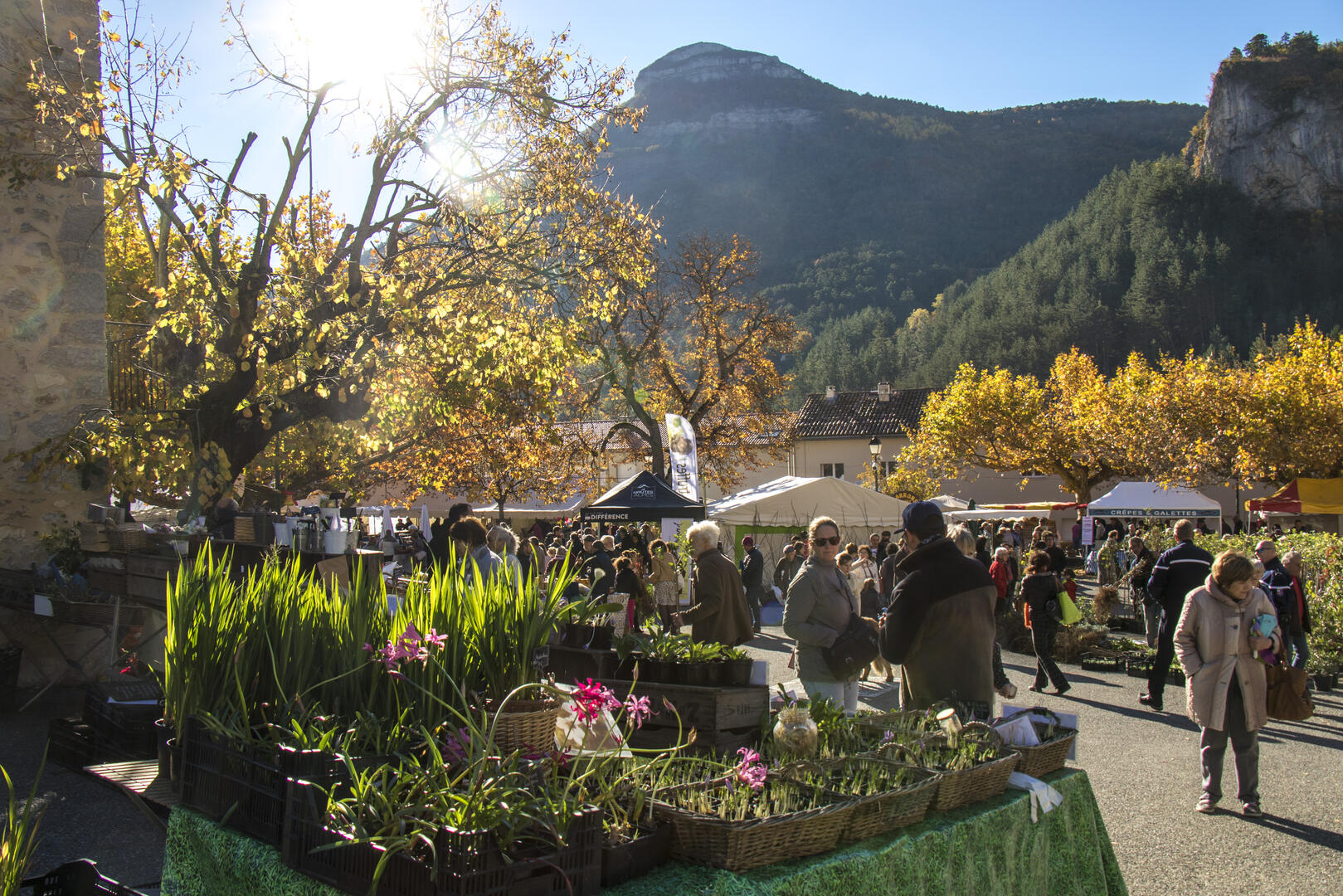 Marche aux Fruits Anciens d'Orpierre