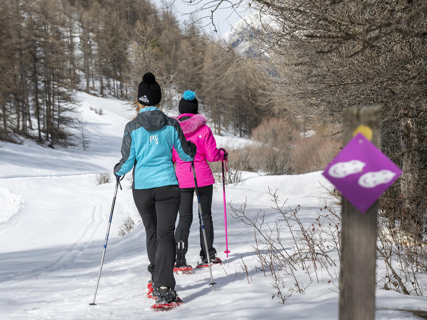Itinéraire raquettes Piste du bois de la Silve