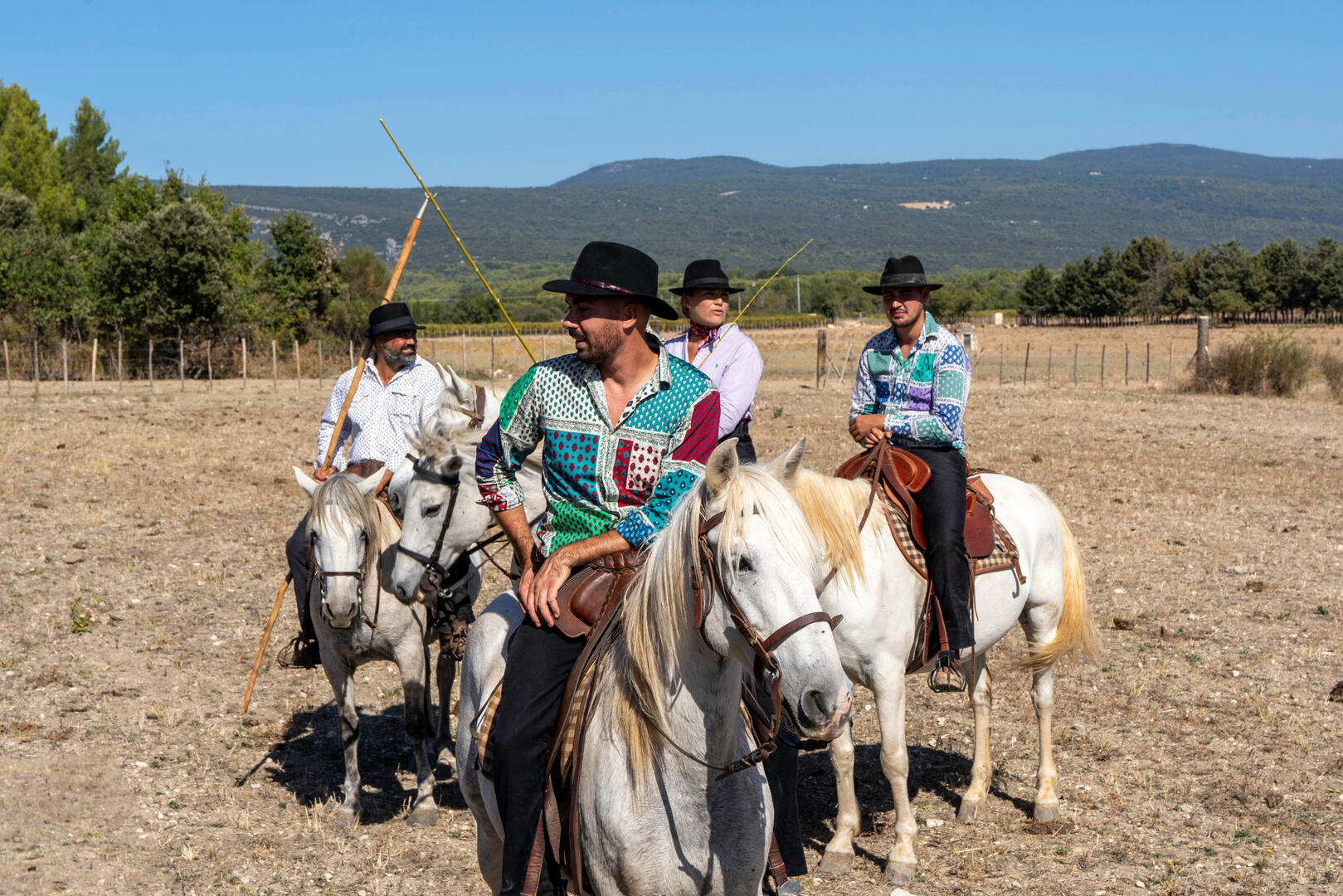 Découverte de la Manade_Roussillon