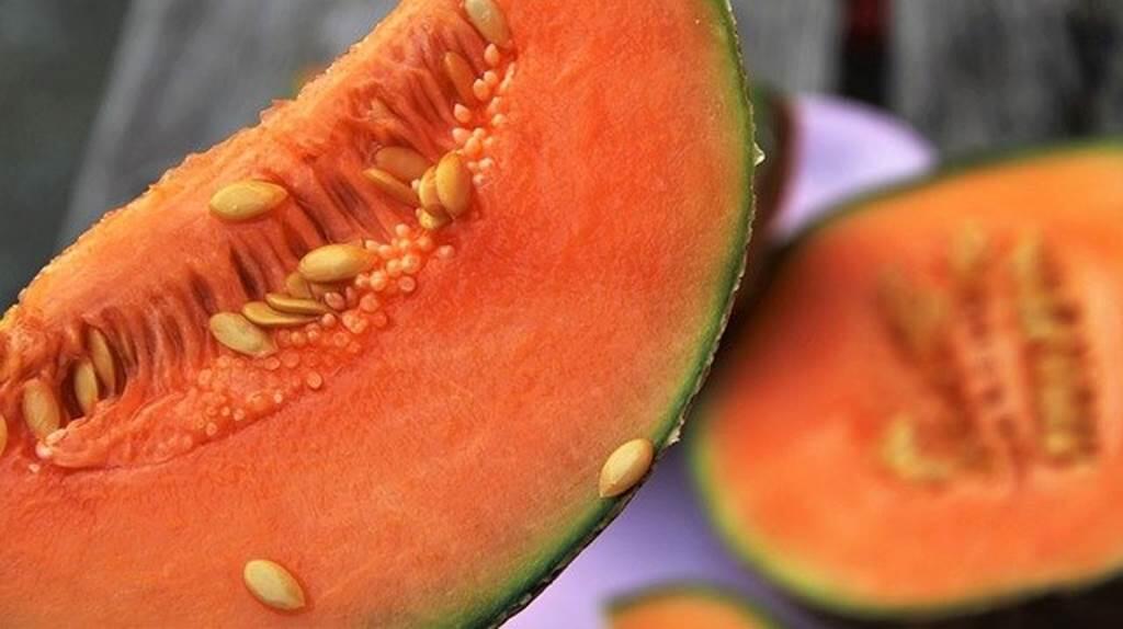 Melons