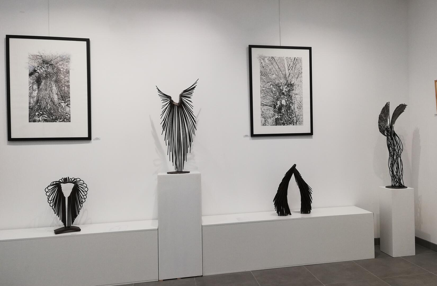 Exposition Arbres et Merveilles- Dialogue féminin_Hérisson