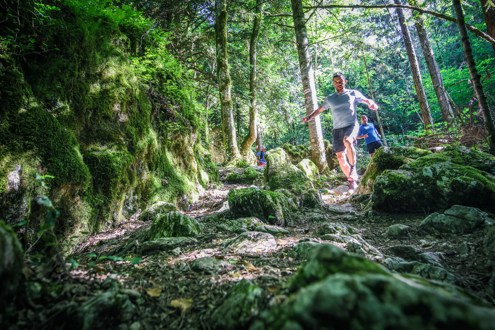 Trail dans les forêts du lac d'Aiguebelette