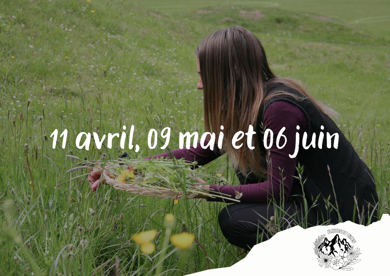 Sortie Cueillette_Torgon
