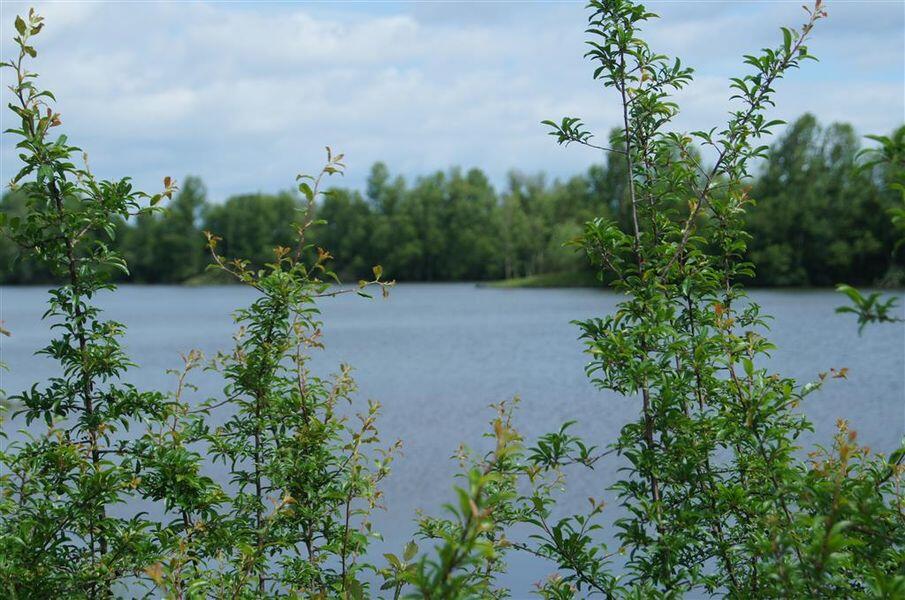 Sortie découverte à l'ens de la vauvre à Nassigny_Nassigny