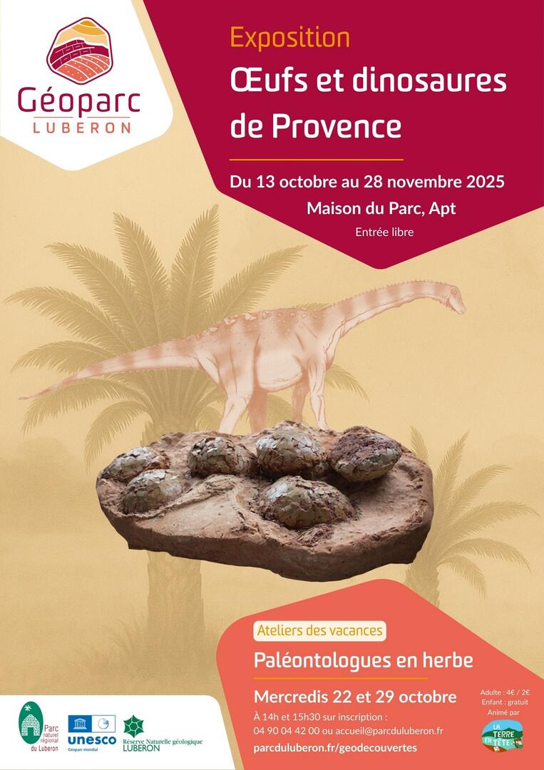 Exposition « Œufs et dinosaures de Provence »_Apt