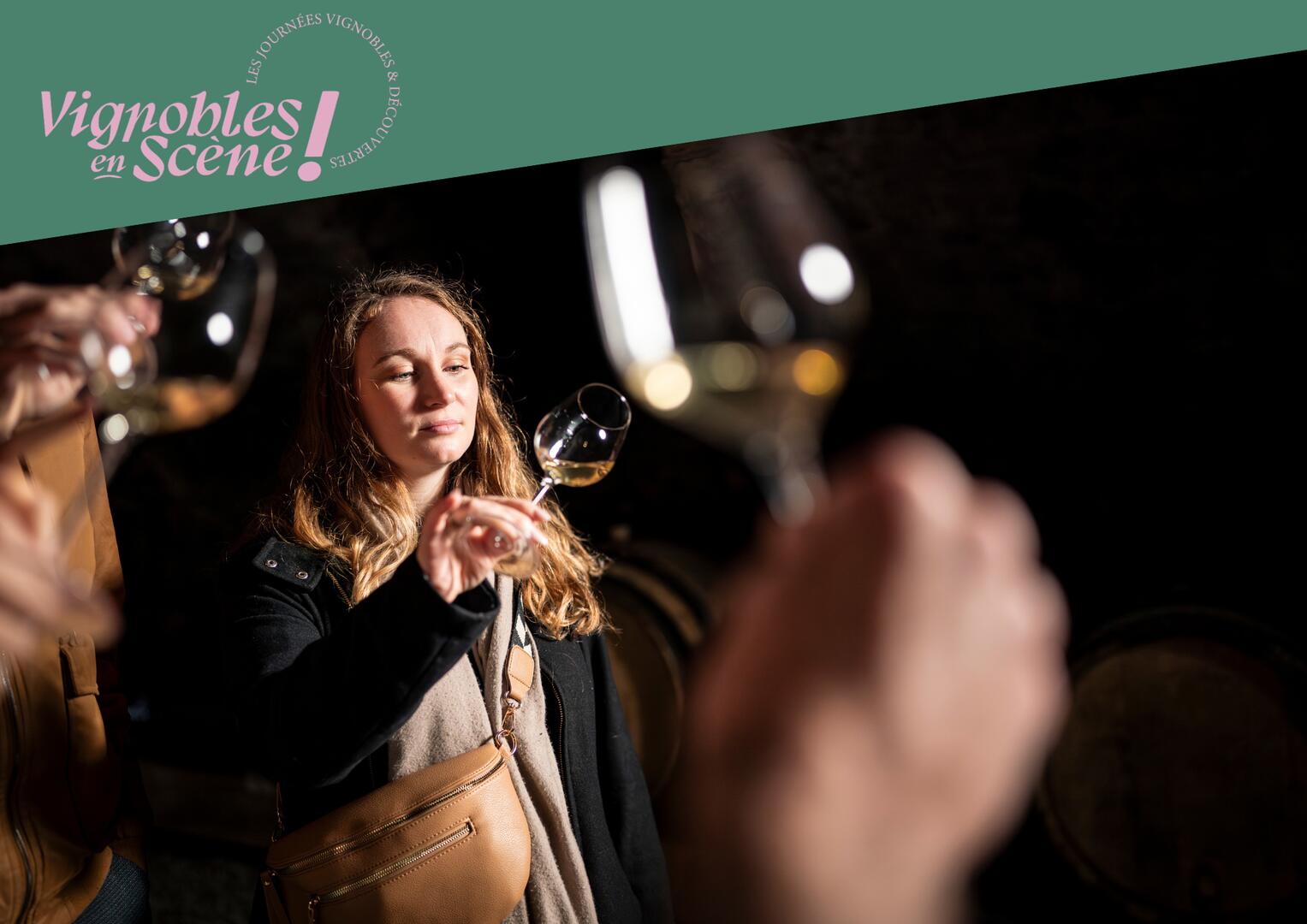Culture et Vins au Domaine Anthony Paret_Saint-Pierre-de-Boeuf