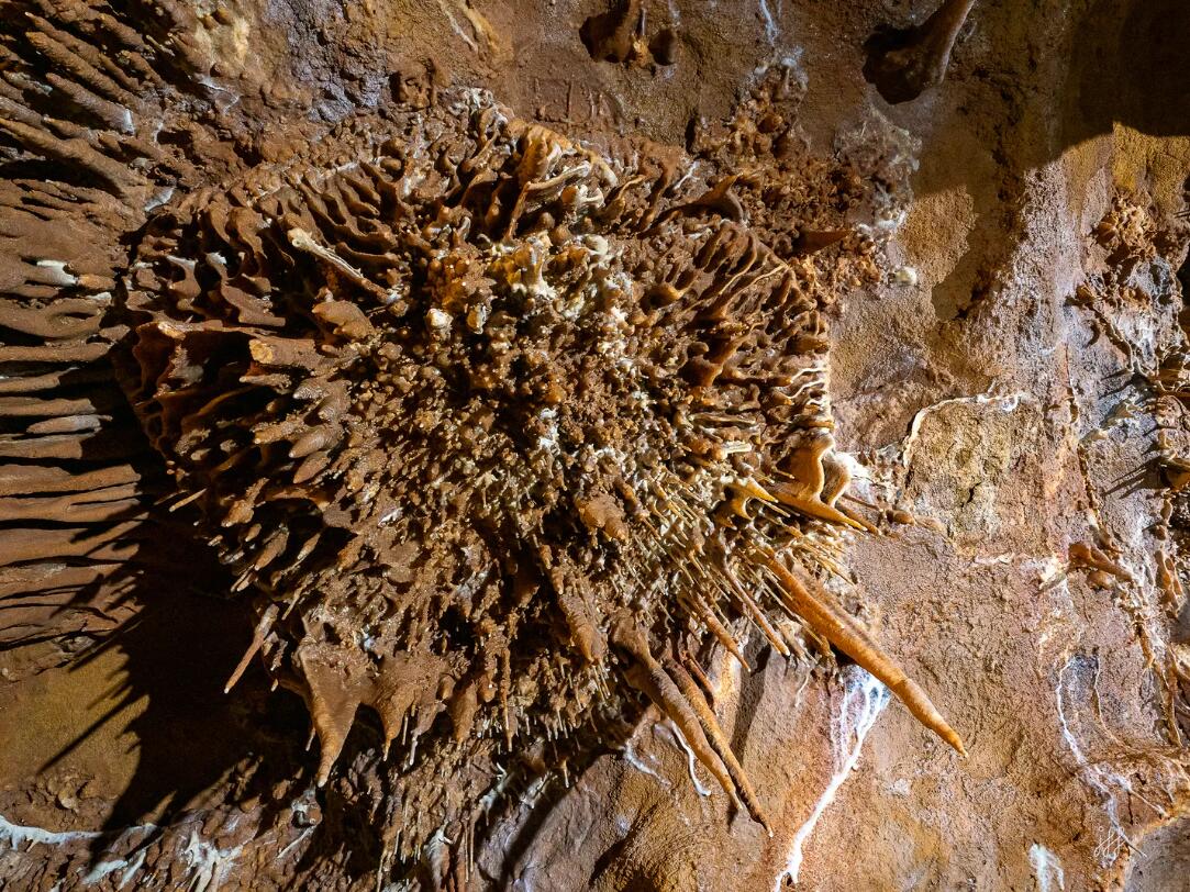 Grotte du Bosc