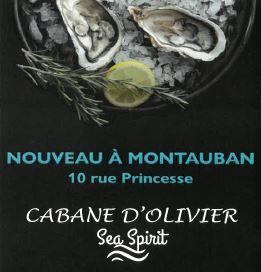 Cabane d'Olivier Montauban