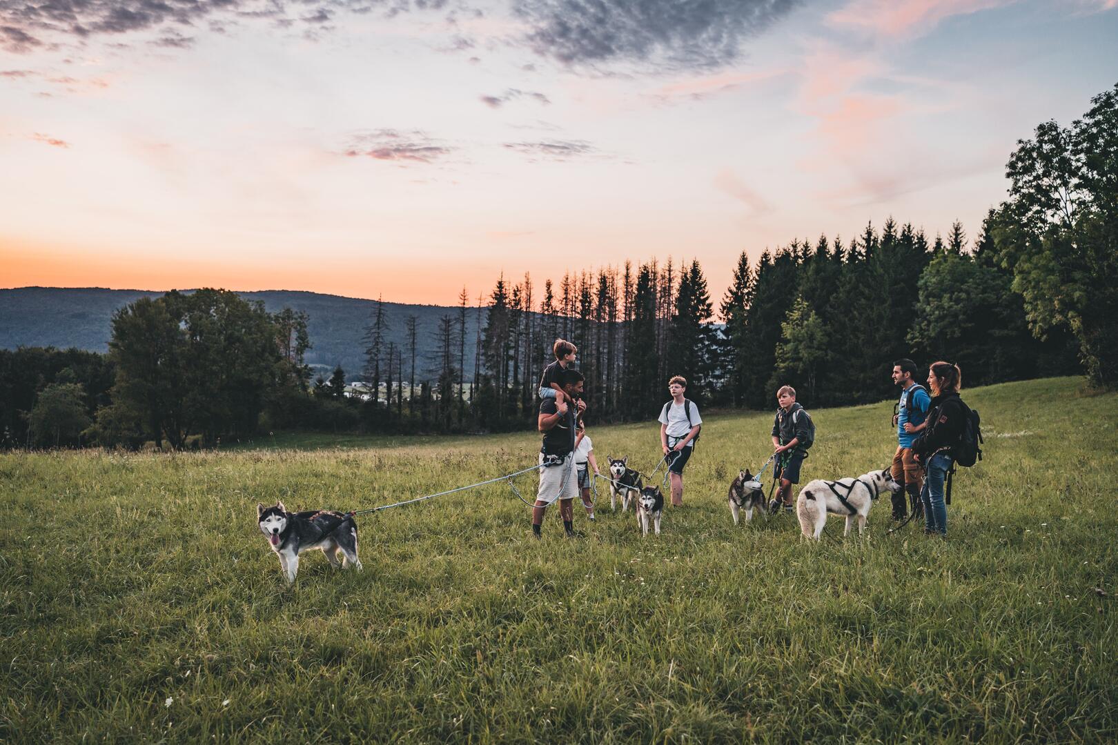 Instants sports - Cani randonnée nocturne_Outriaz