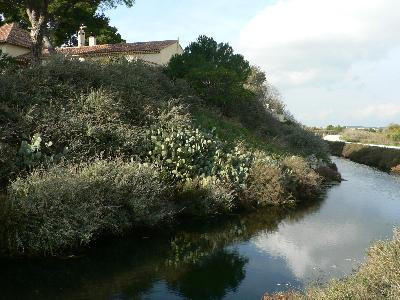 13VIS000885_1_WEB.jpg