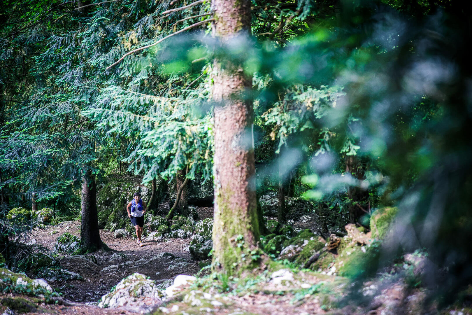 Trail dans les forêts du lac d'Aiguebelette