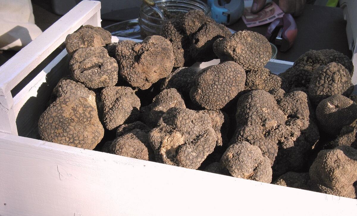 Marché à la truffe noire