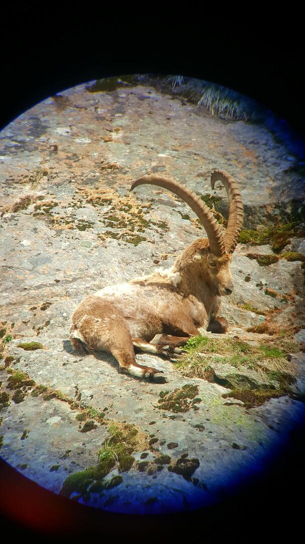 Qui va là ?_Les Contamines-Montjoie
