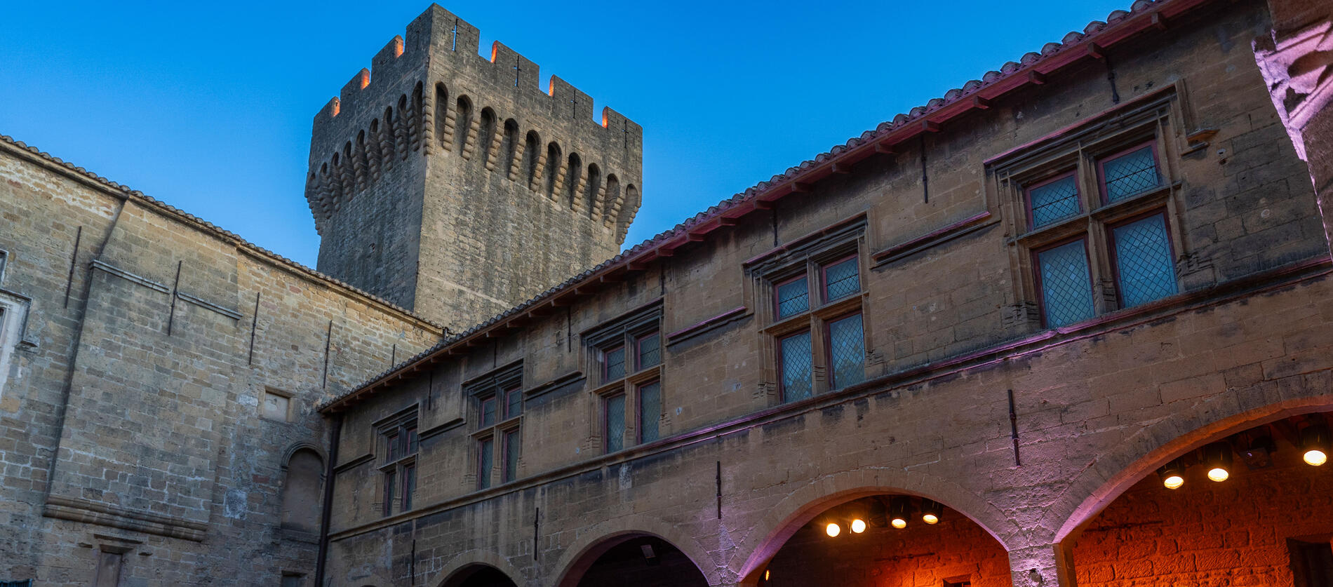 Un Château dans les Vignes_Salon-de-Provence