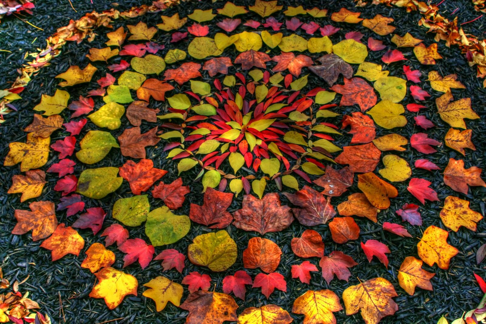 Fresque nature - Land art_Oz-en-Oisans