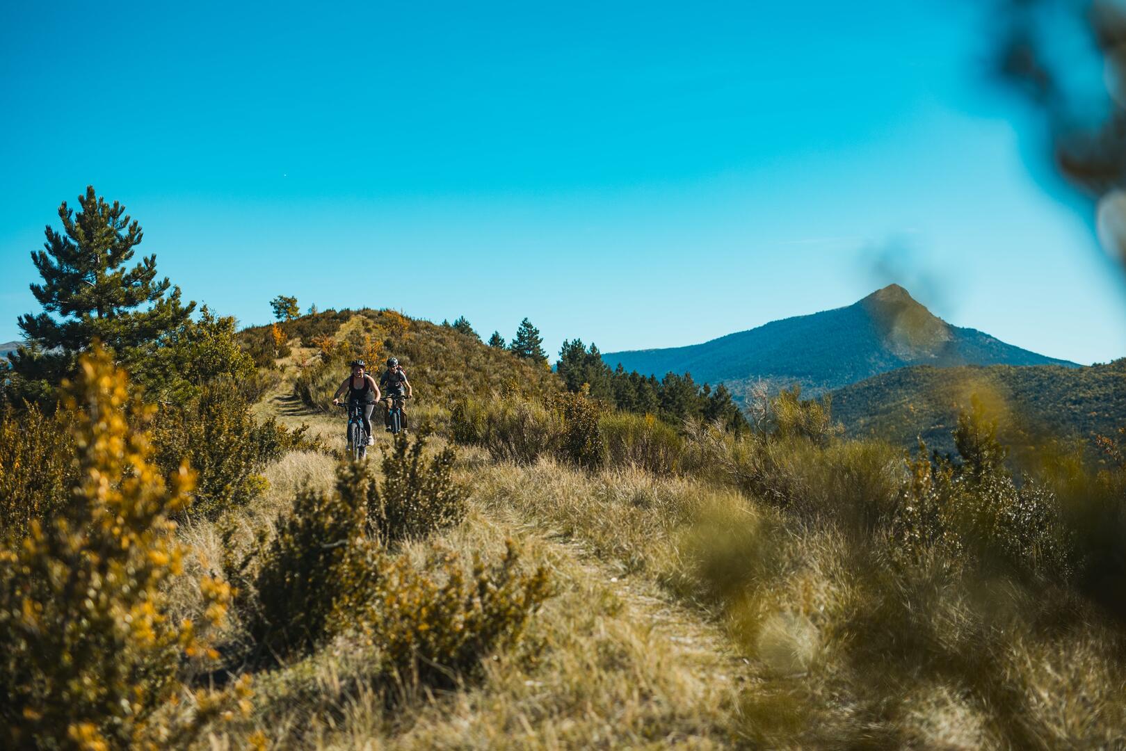 VTT la chalvet et sa forêt