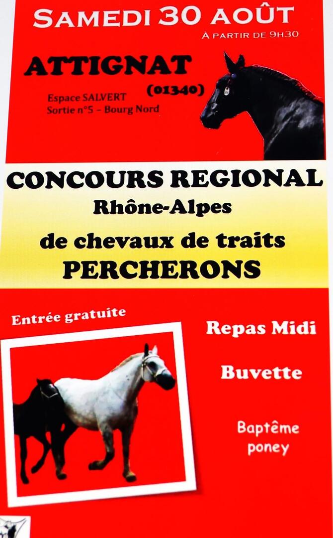Affiche présentation