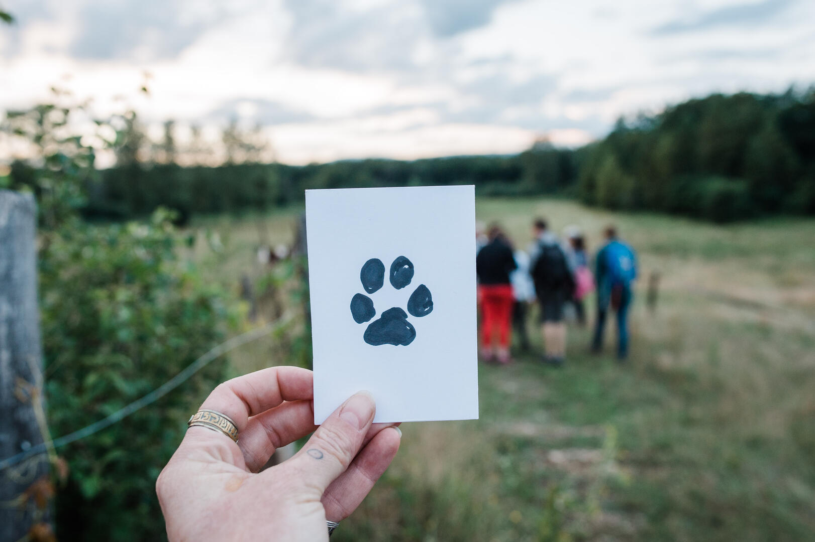 Traces et indices de la faune sauvage_Saint-Martin-d'Uriage