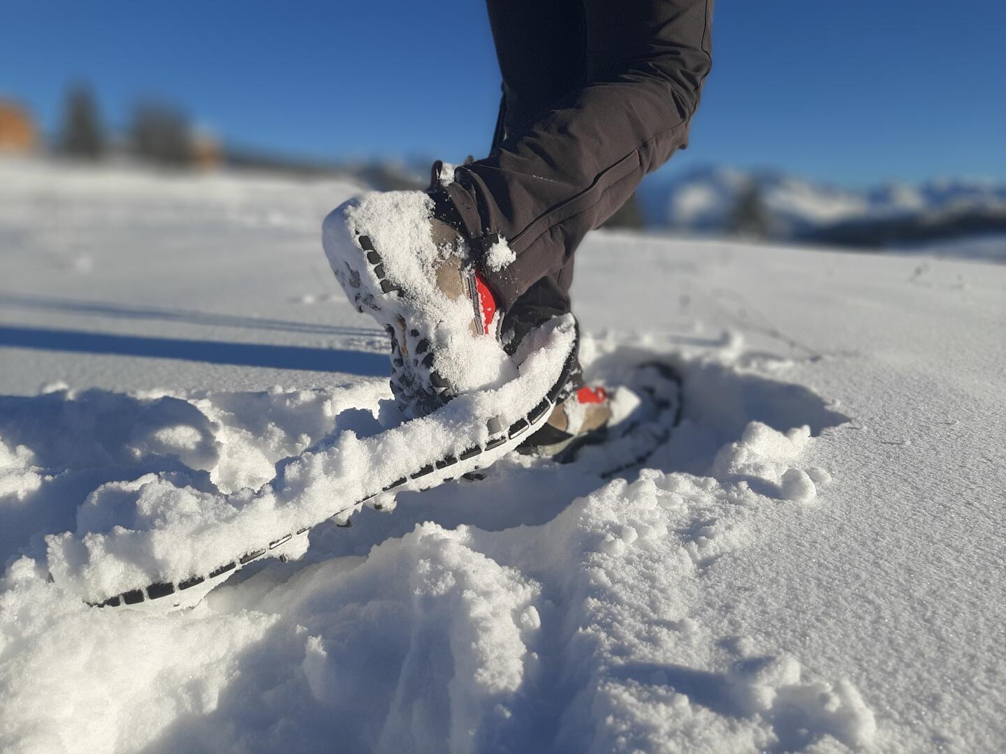 Randonnée en raquettes à neige