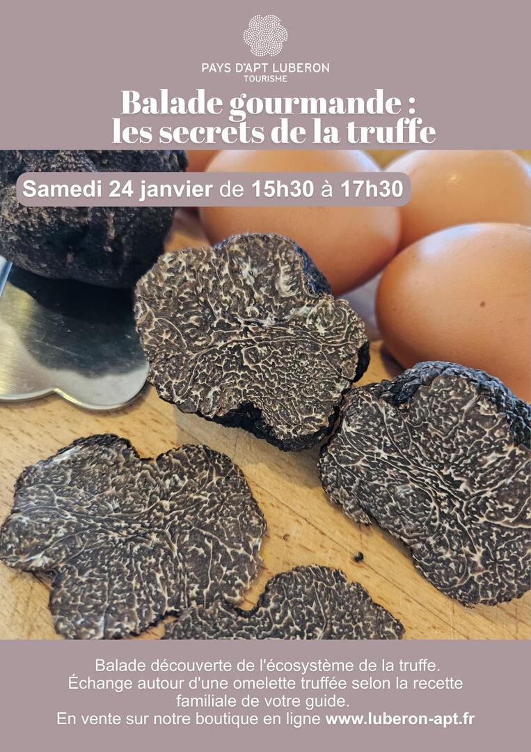 Balade gourmande "les secrets de la truffe"_Apt