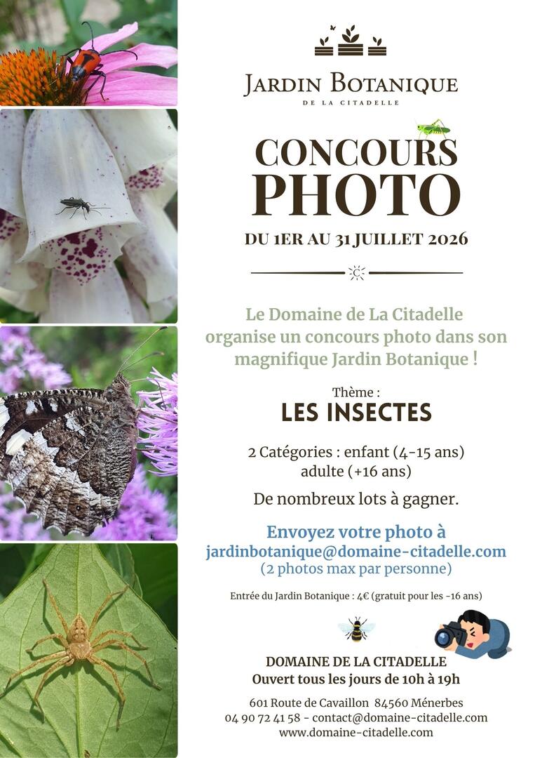 Affiche Concours Photo Insectes