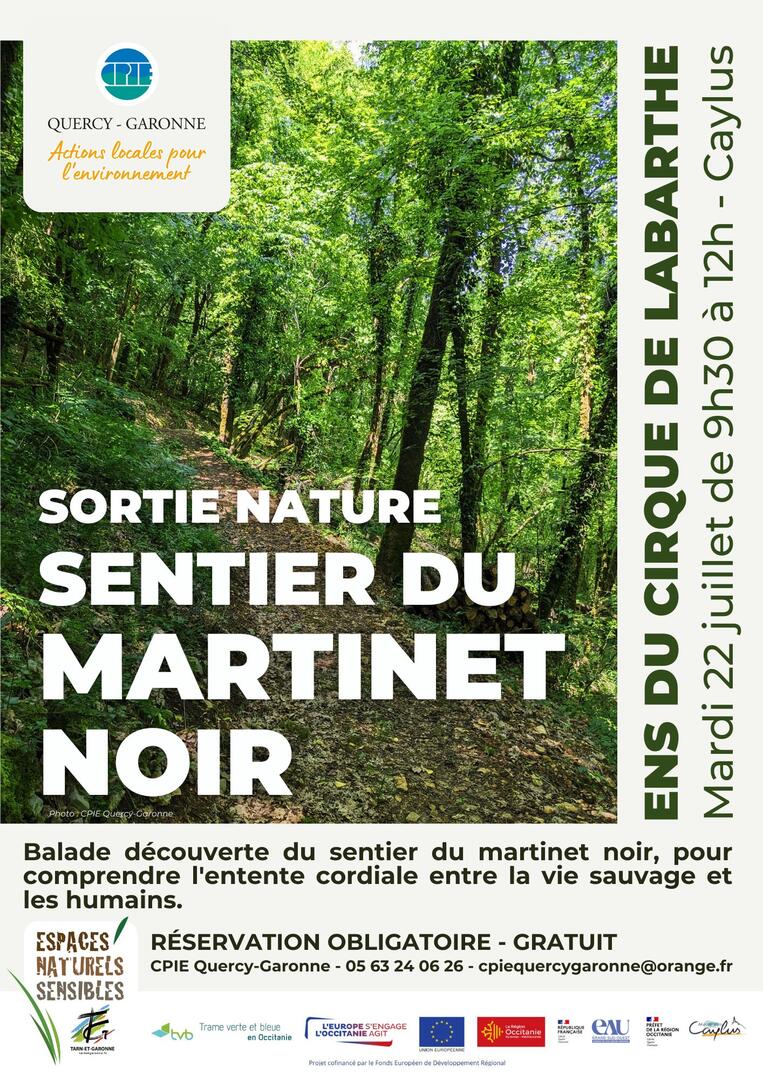 Martinet Noir 2025 1