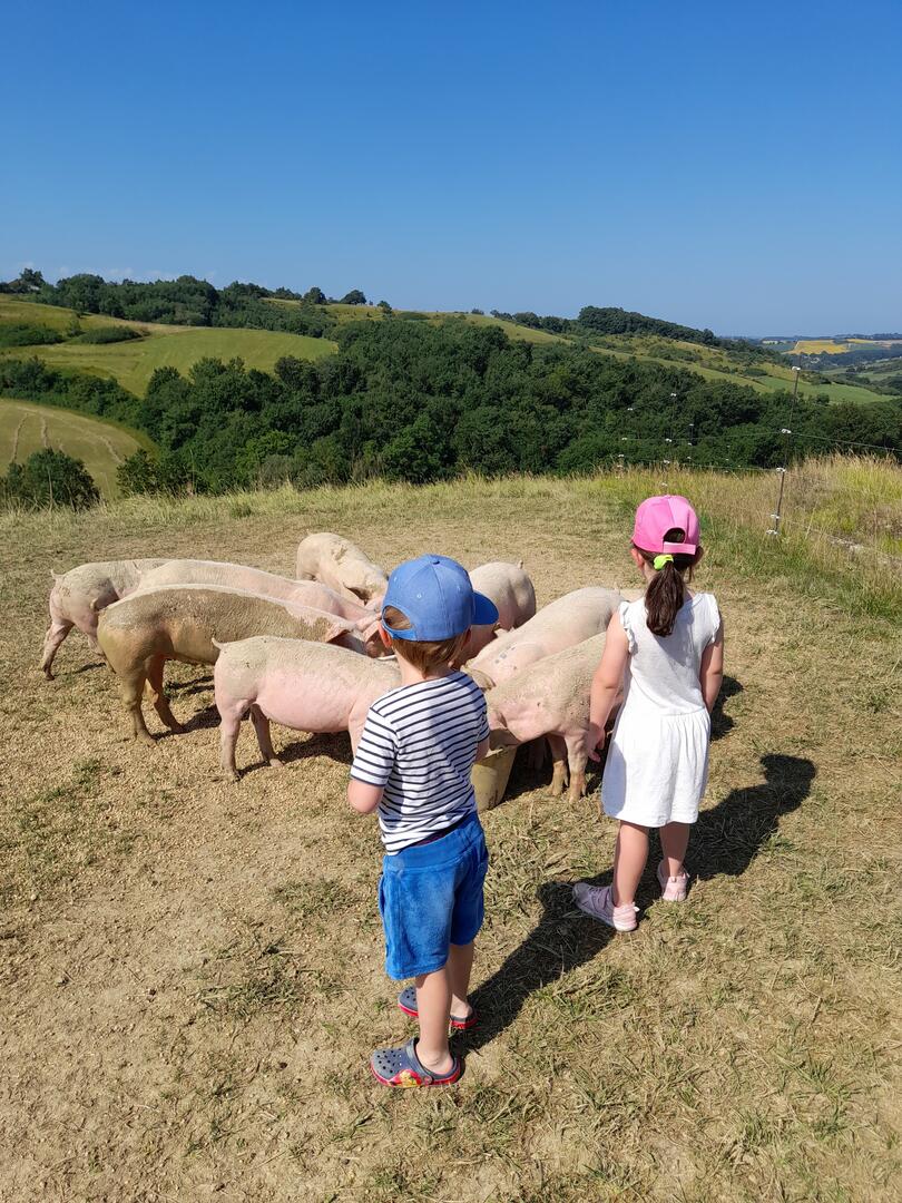 Visite de la ferme Castel Pouzouilh au Fossat