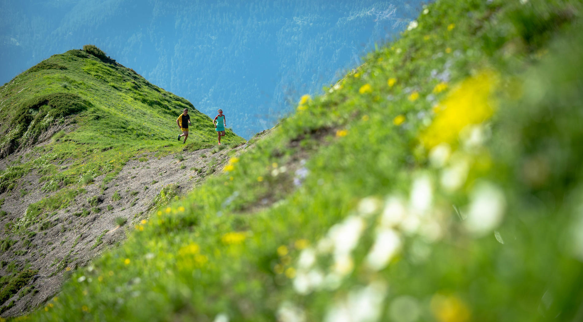 Itinéraire trail Le Cuchon de Molines