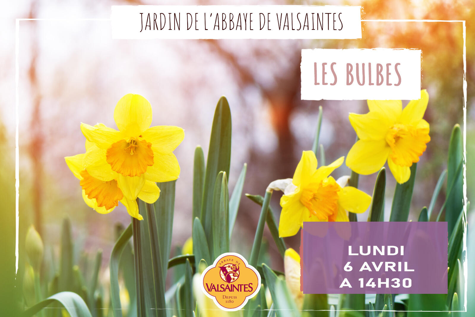 Les bulbes de Valsaintes_Simiane-la-Rotonde