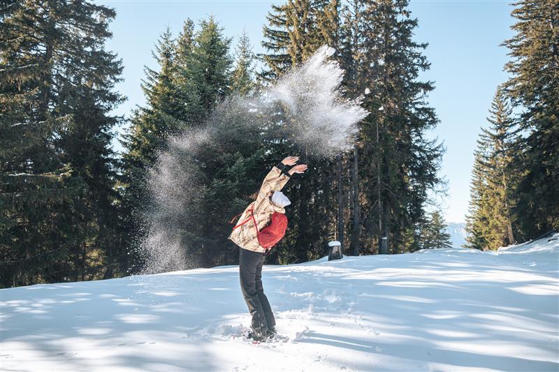 Le nid de l'aigle_Le Collet