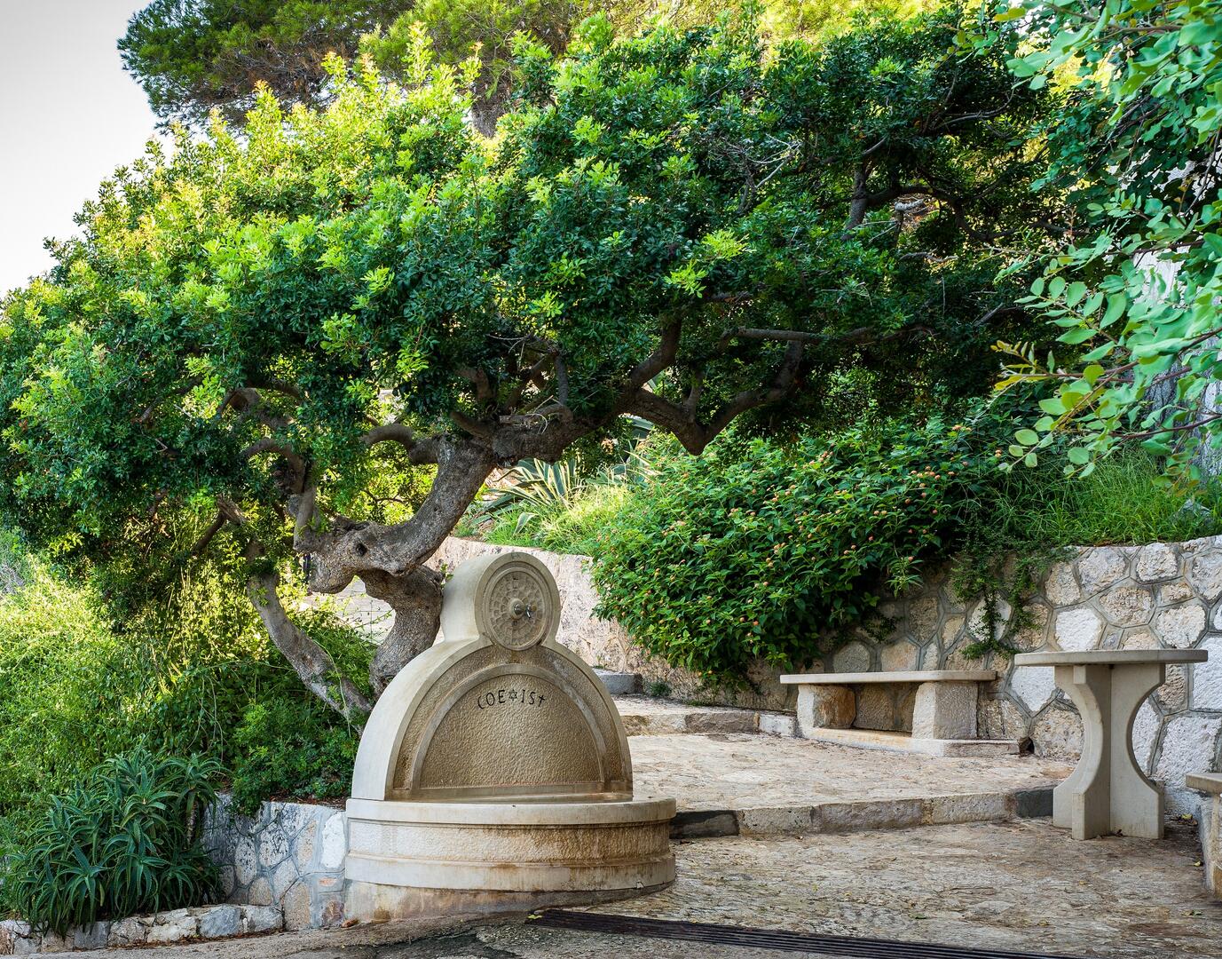 Fontaine Coexist