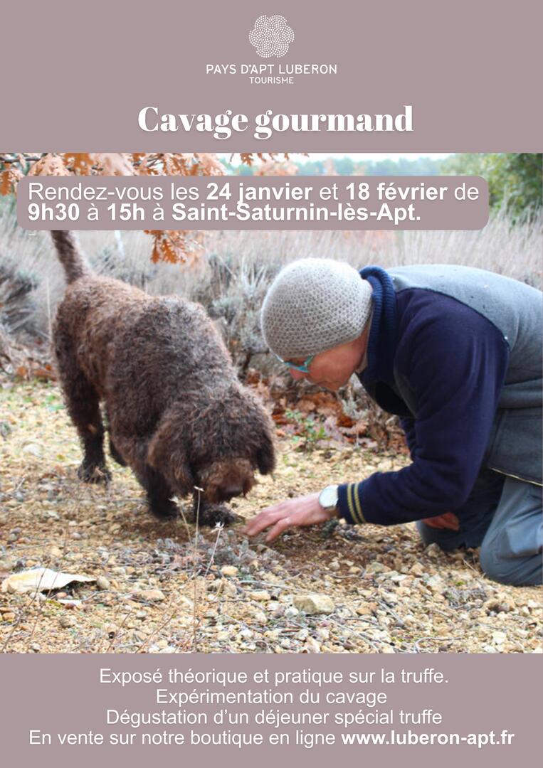 Cavage gourmand_Saint-Saturnin-lès-Apt