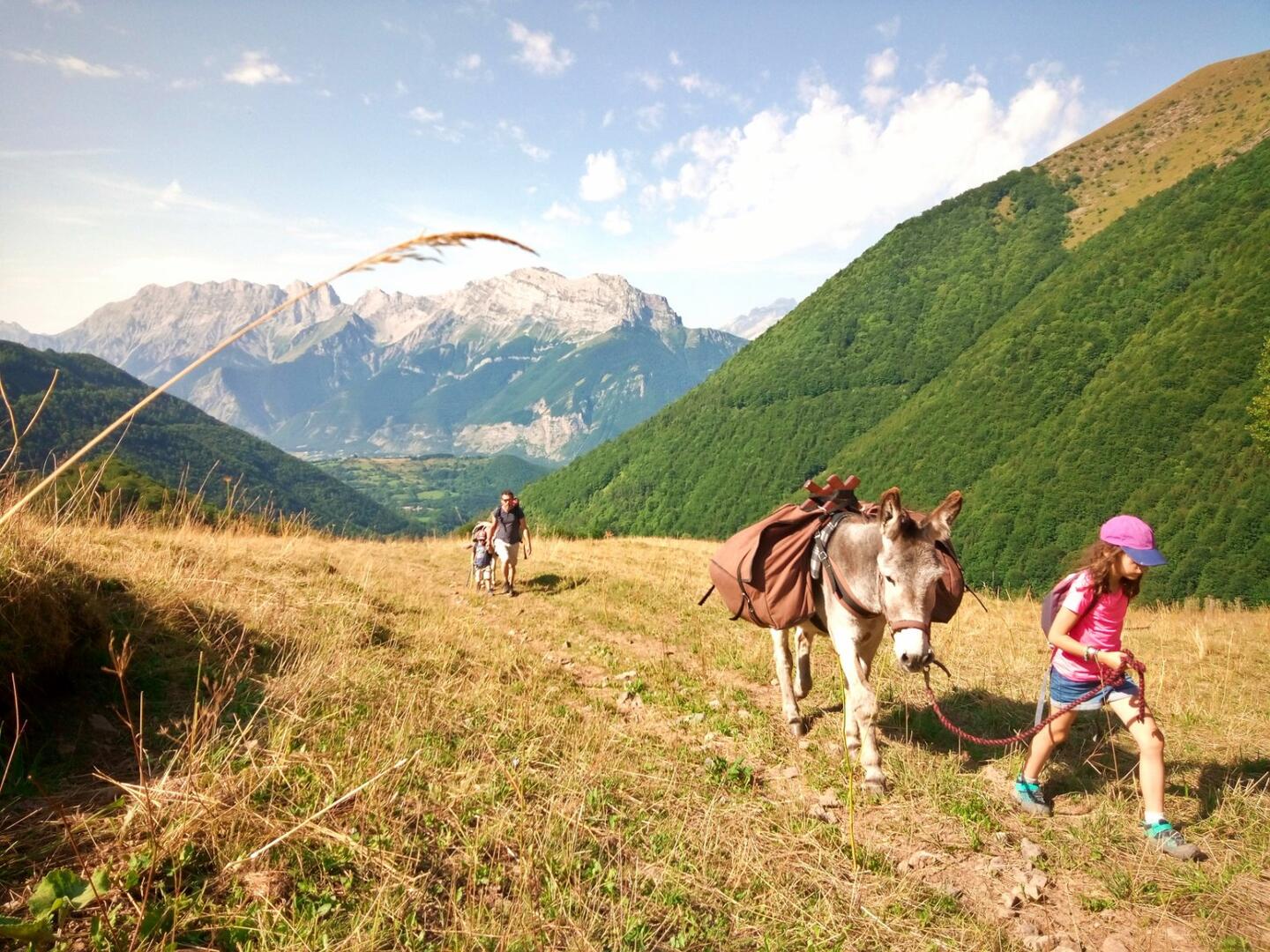 Bivouac avec les ânes, Altimood